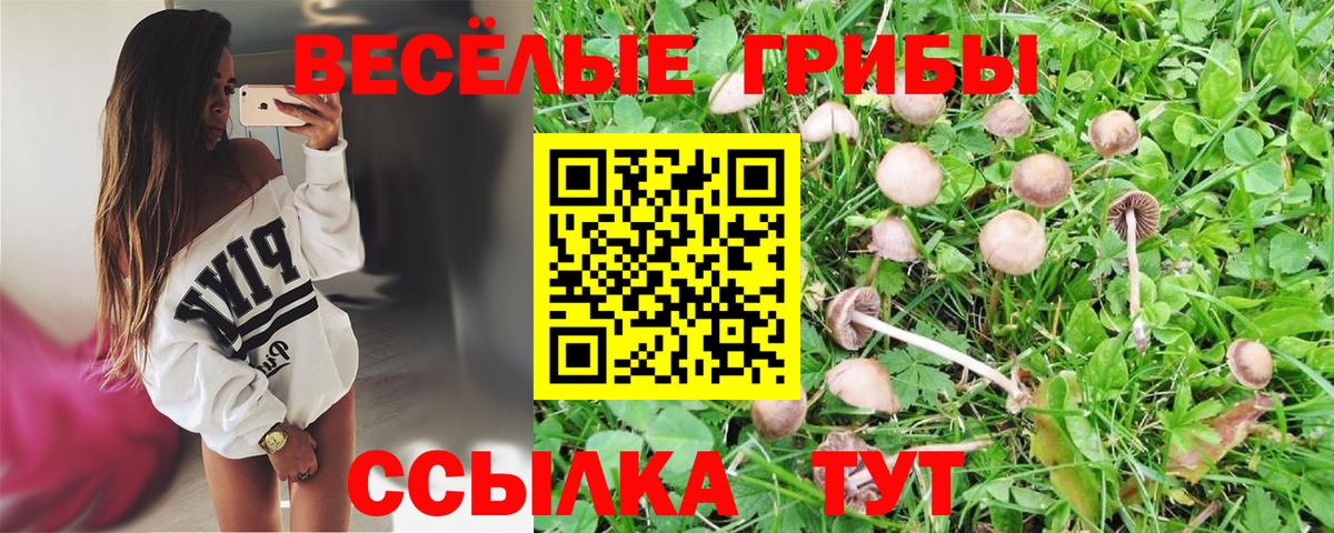 Пенза  Псилоцибиновые грибы мухоморы  Вход с VPN 