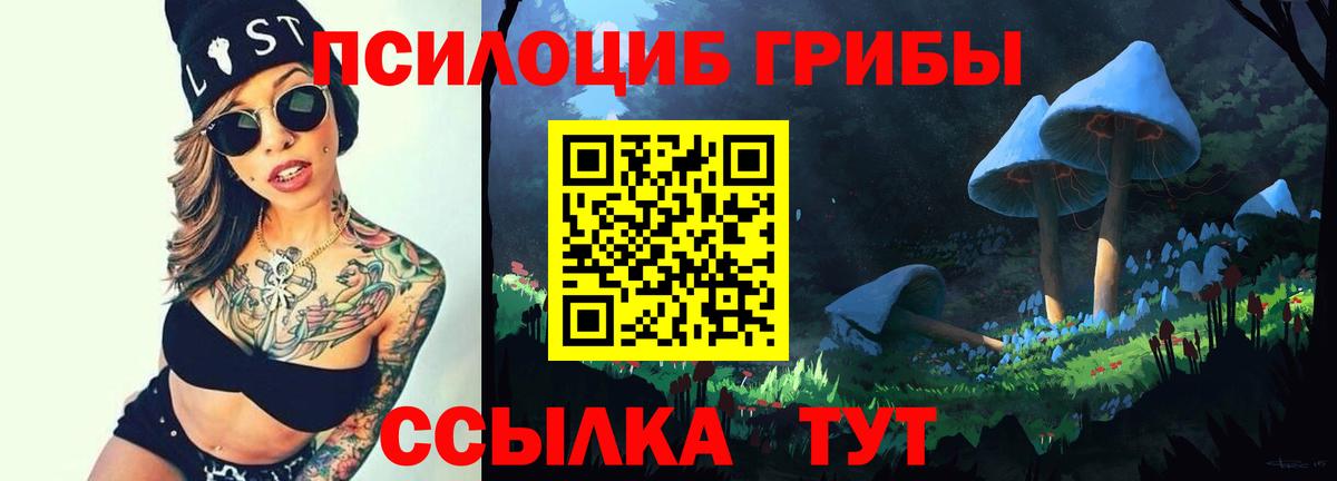 Галлюциногенные грибы Psilocybine cubensis Пенза